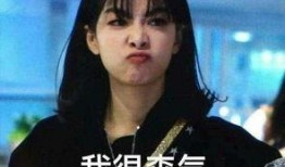 明星黑料进入口 最近大瓜事件,明星黑料曝光，事件引发热议