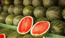 瓜瓜基地 黑料是什么 热门大瓜每日必吃大瓜合集,黑料大瓜每日必吃合集