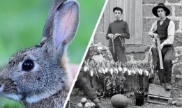 最近热门事件合集吃瓜兔