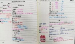 笔记 每日爆料大赛精彩内容,精彩内容盘点，揭秘幕后故事