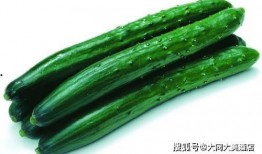黄瓜c 黑料是什么意思,探寻网络谣言背后的真相